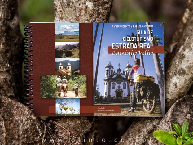 Apps de navegação vs. GPS dedicado: Qual a melhor opção para rodovias brasileiras?