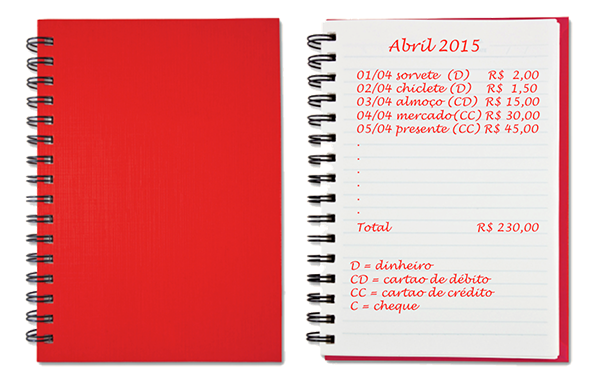 quanto custa organizar finanças coach