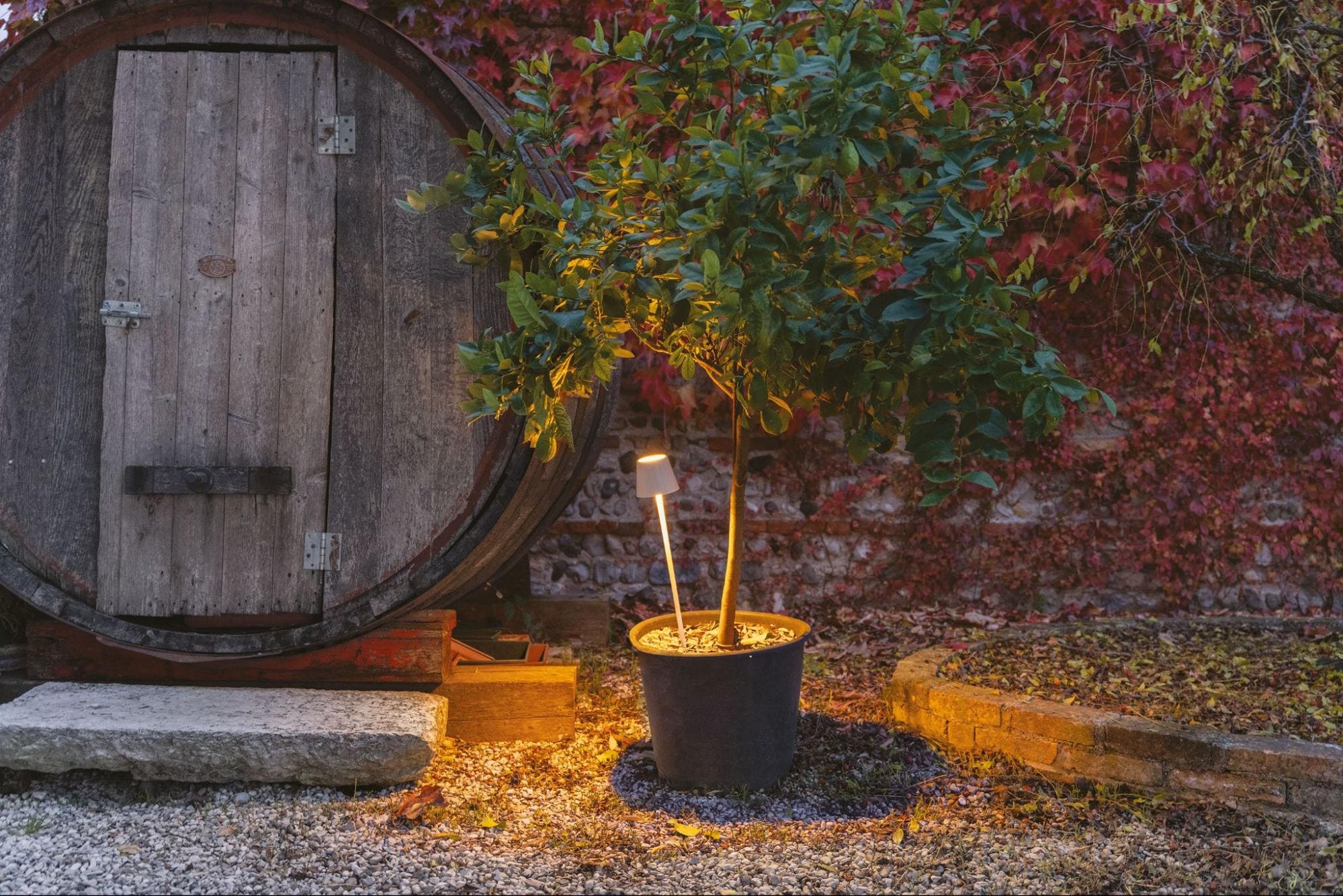 5 ideias de títulos:
1. Iluminação de Jardim: Guia Completo para Valorizar seu Espaço
2. Transforme seu Jardim com Iluminação: Dicas Essenciais e Tendências
3. Segurança e Beleza: Como Escolher a Iluminação Ideal para seu Jardim
4. Iluminação de Jardim com LED: Economia e Eficiência Energética
5. Inspire-se: Galeria de Ideias para Iluminação de Jardins Modernos