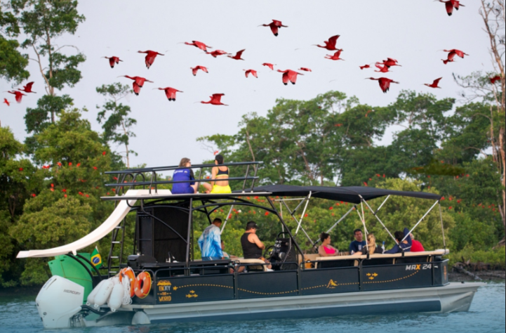 investir em empresas de turismo