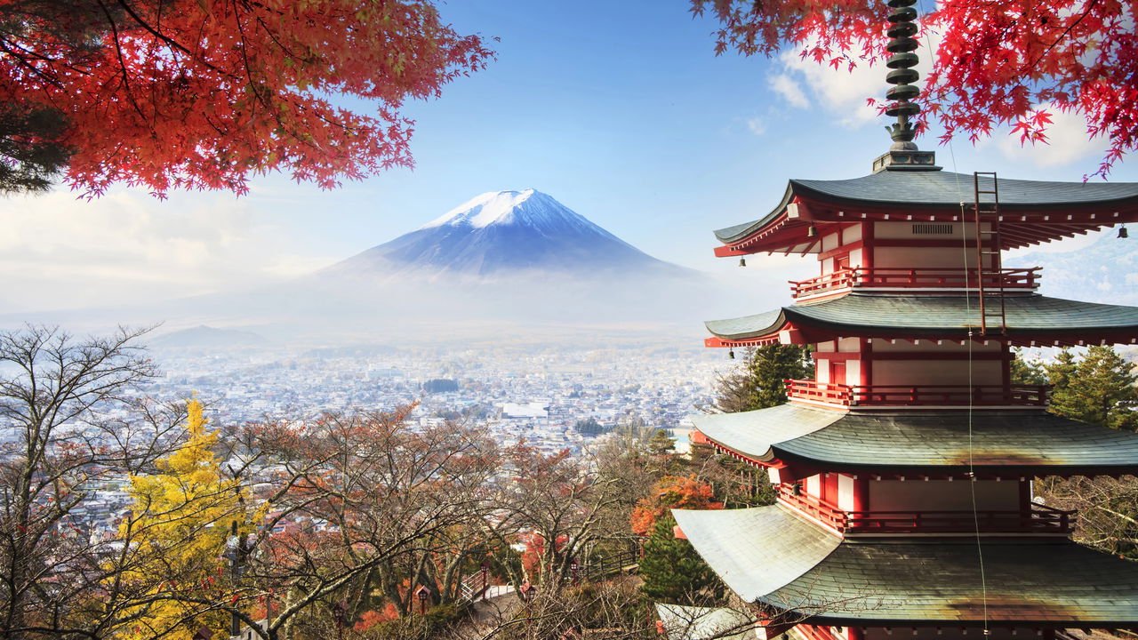 As Melhores Épocas para Ver Sakura e Momiji no Japão