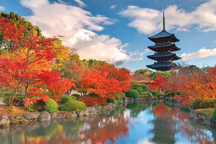 Japan Rail Pass Vale a Pena? Análise de Custos e Alternativas