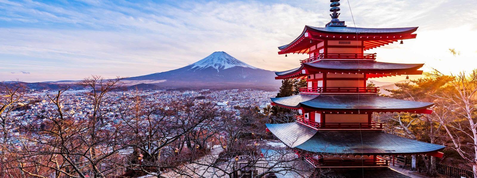 As Melhores Épocas para Ver Sakura e Momiji no Japão