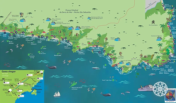 Guia Completo das Melhores Praias para Surf no Litoral Norte Paulista