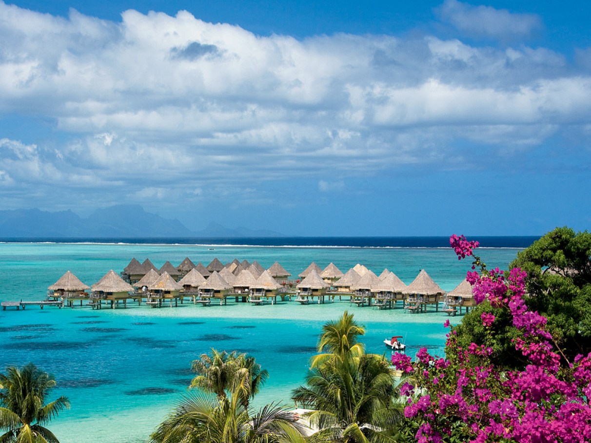 Mergulho no Brasil: Os Melhores Pontos em Maracajaú e Bombinhas