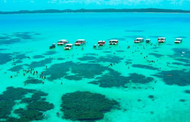 Descubra o 'Caribe Brasileiro': Maragogi e Arraial do Cabo em Detalhes