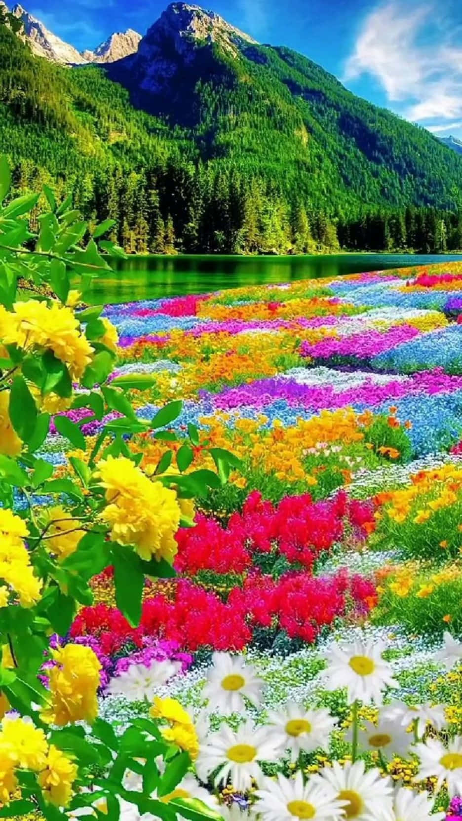 A Importância da Grande Barreira de Coral e Como Protegê-la