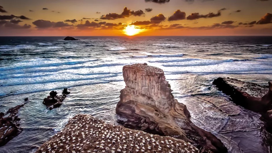 Guia Completo: Como Visitar o Salto Angel na Venezuela