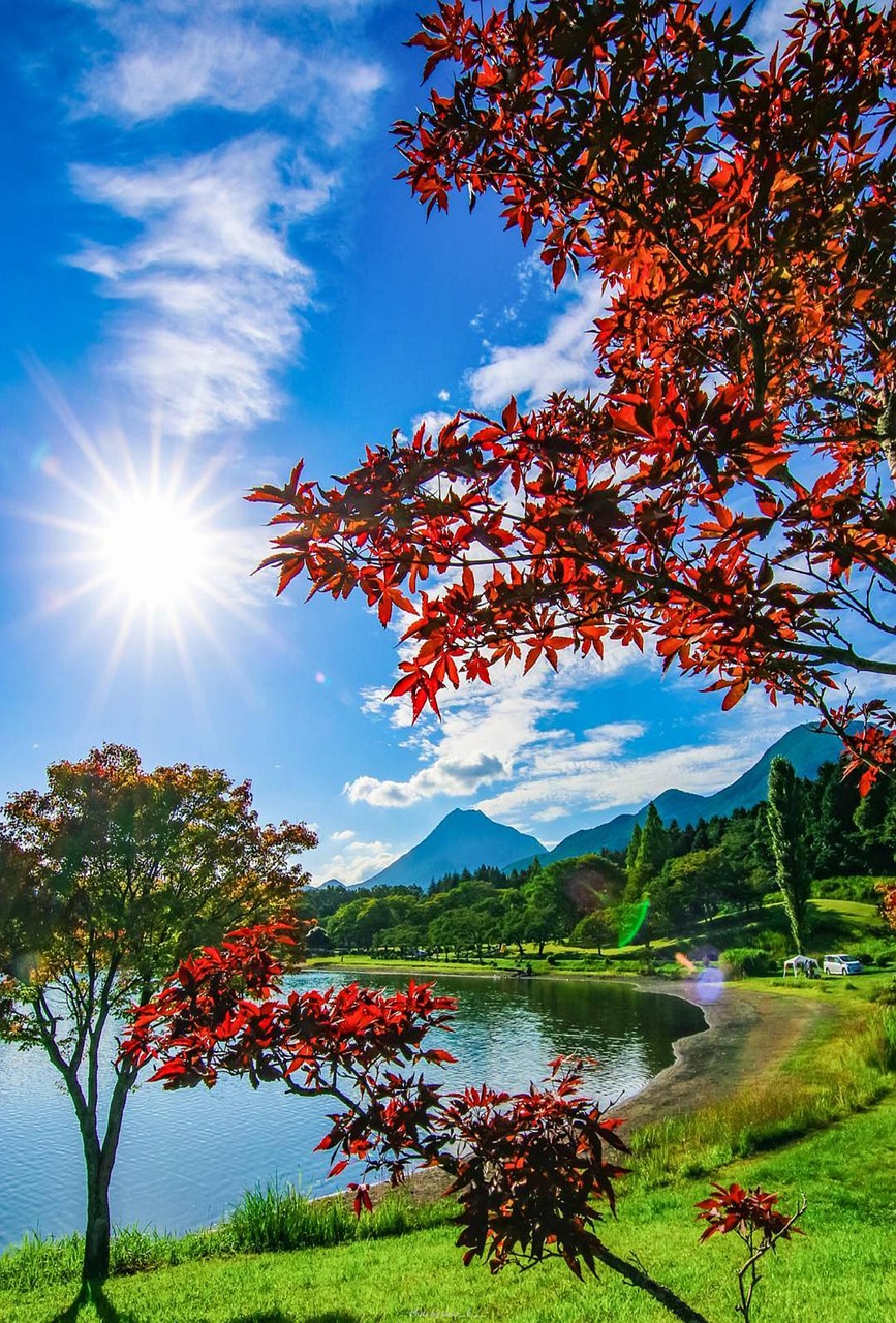 Roteiro de 5 Dias no Jalapão: O Que Fazer e Onde Ficar