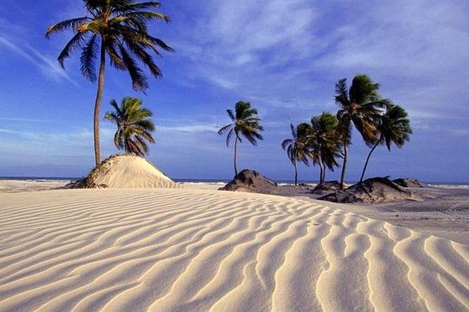 mangue seco bahia brasil