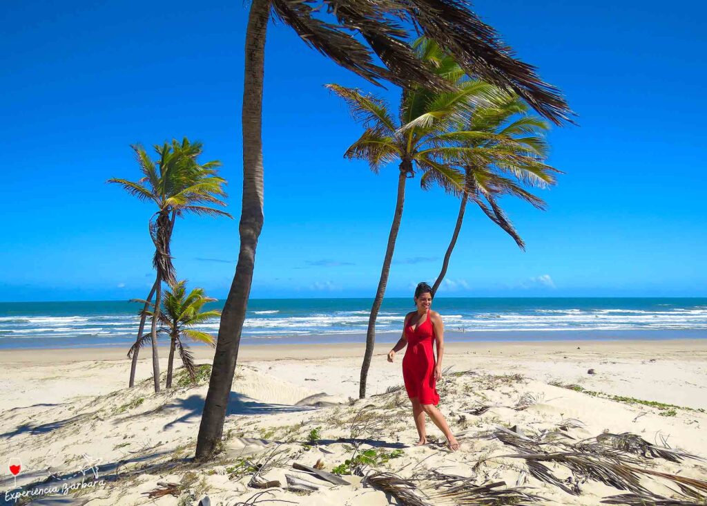 Melhor Época para Visitar Mangue Seco e Dicas Essenciais