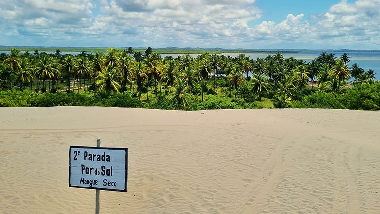 Melhor Época para Visitar Mangue Seco e Dicas Essenciais
