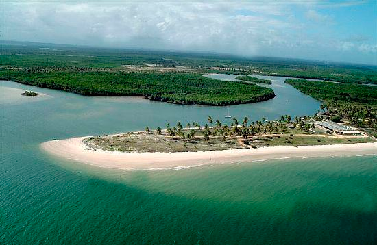 Gastronomia de Mangue Seco: Onde Comer e o Que Experimentar