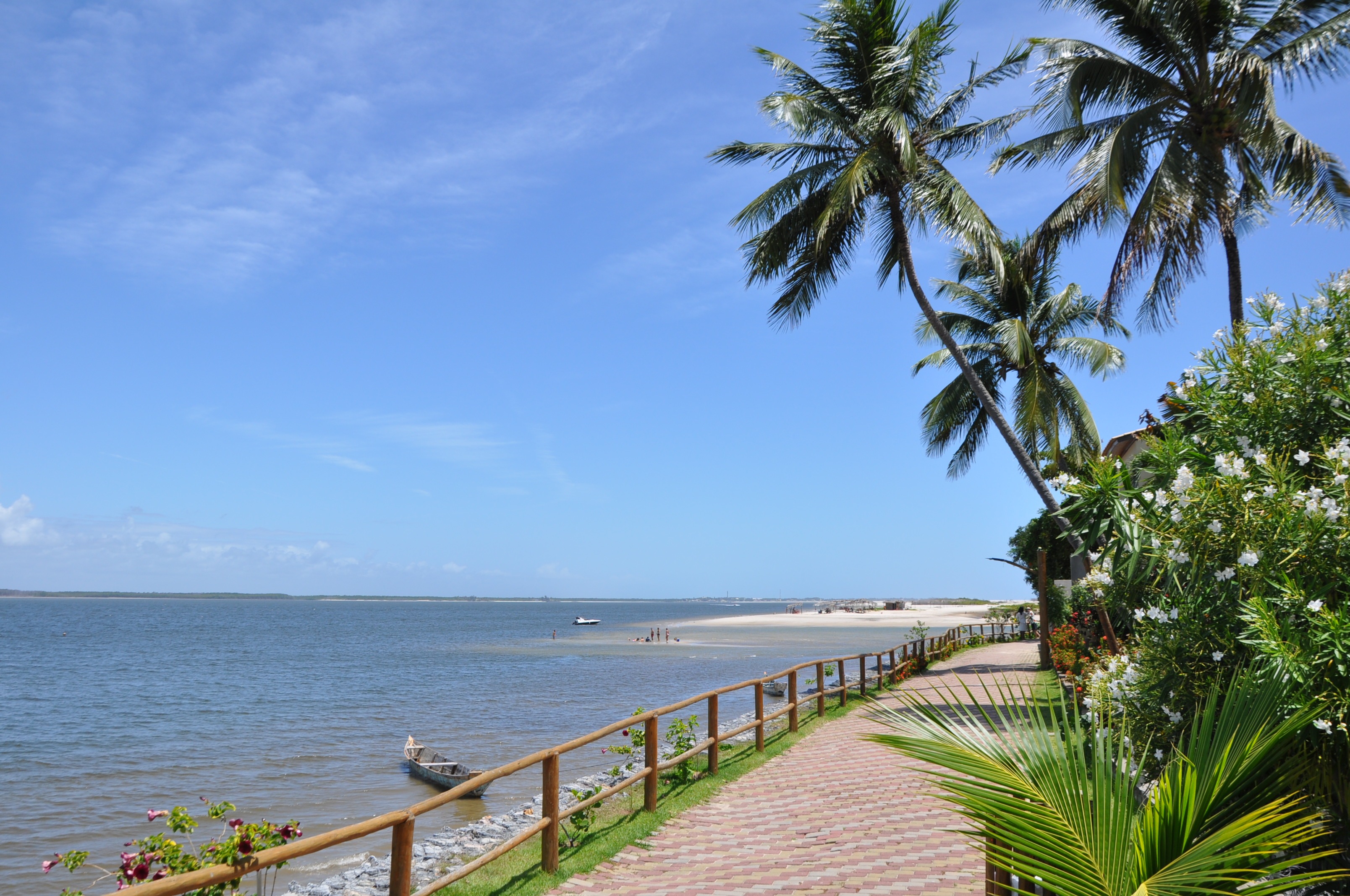 Melhor Época para Visitar Mangue Seco e Dicas Essenciais
