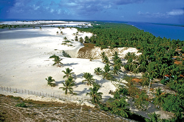 Guia Completo: Como Chegar em Mangue Seco saindo de Aracaju e Salvador