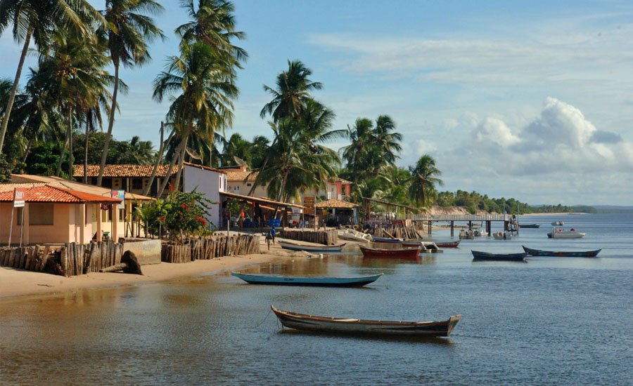 Gastronomia de Mangue Seco: Onde Comer e o Que Experimentar