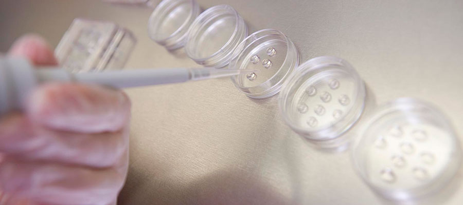 Aspectos emocionais da ovodoação: para doadoras e receptoras