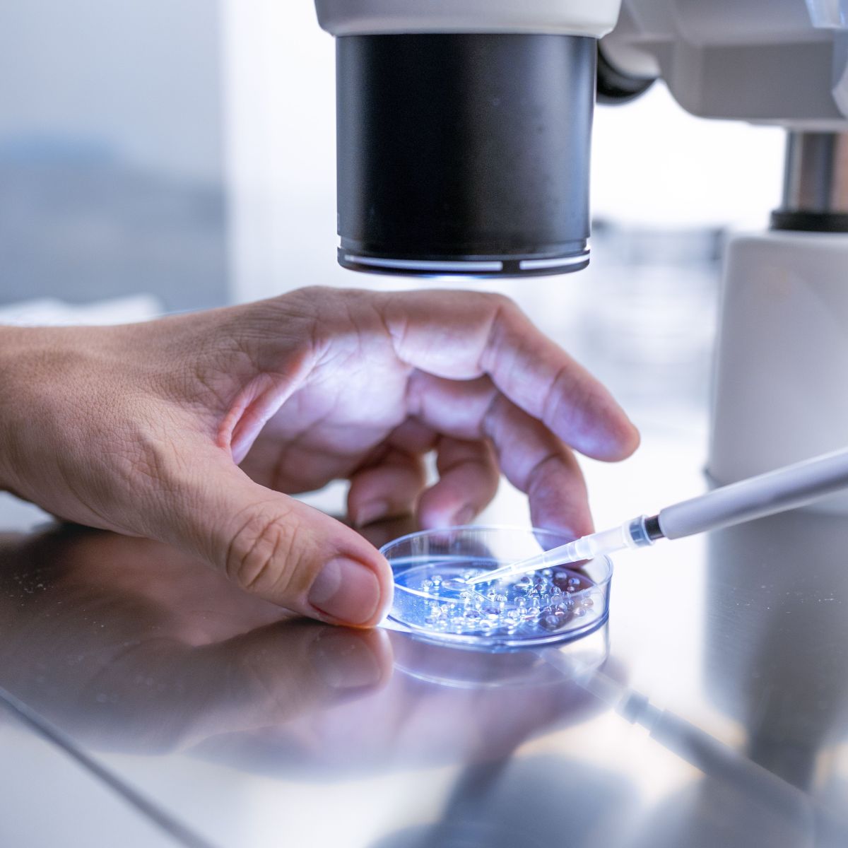 Requisitos para ser uma doadora de óvulos no Brasil