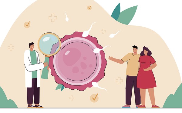 Entenda a epigenética na doação de óvulos: a influência da mãe gestante