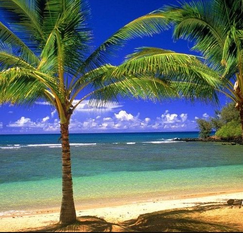 Como chegar e o que fazer nas piscinas naturais de Pajuçara