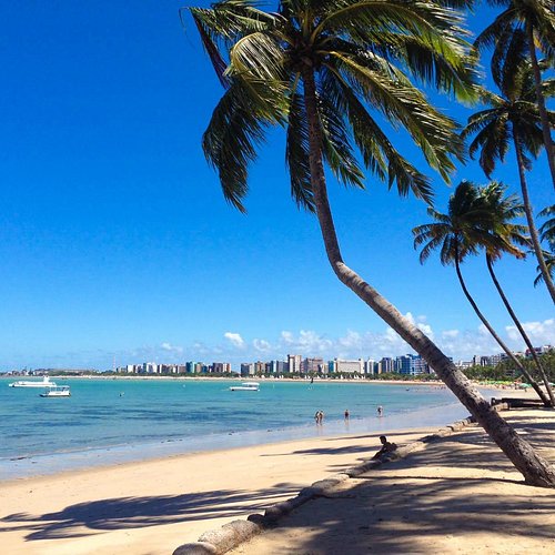 Guia completo das praias do Litoral Norte de Alagoas