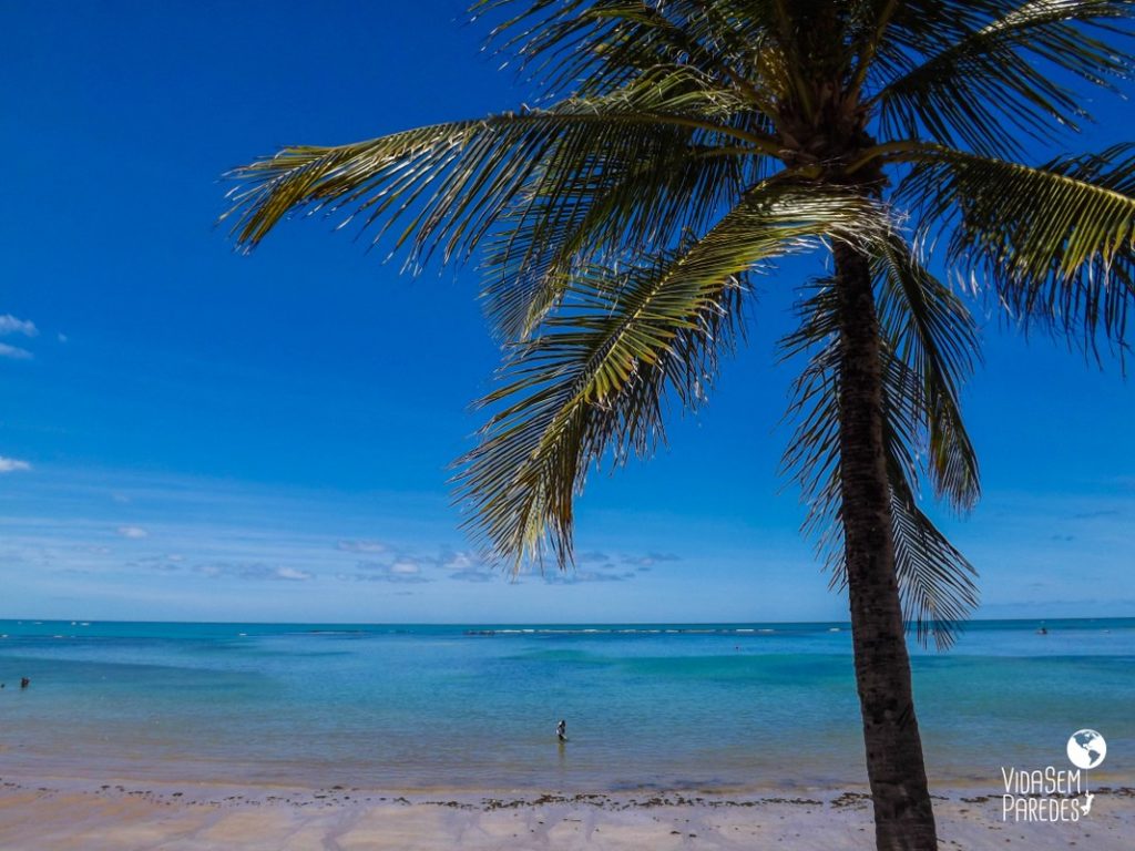 Como chegar e o que fazer nas piscinas naturais de Pajuçara