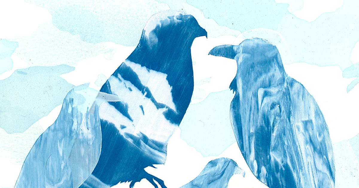 moda para designers gráficos