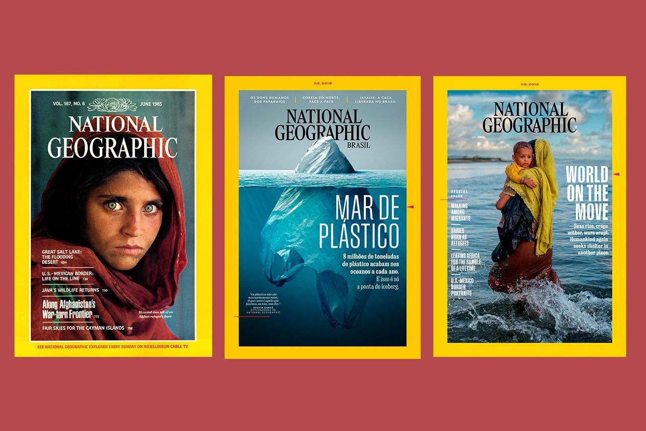 Guia Completo: Como Acessar o Acervo Digital da National Geographic via CAPES