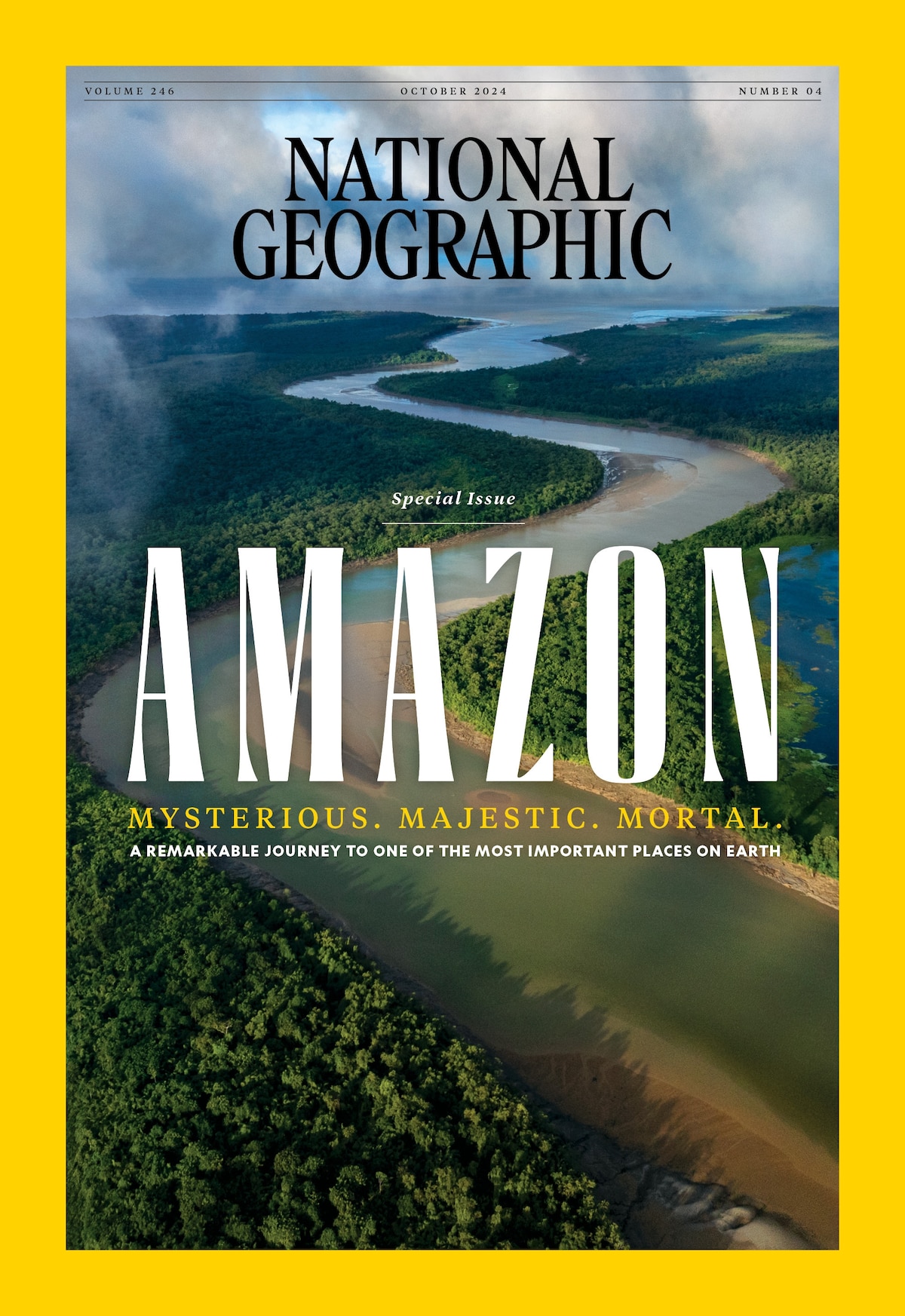 Guia Completo: Como Acessar o Acervo Digital da National Geographic via CAPES