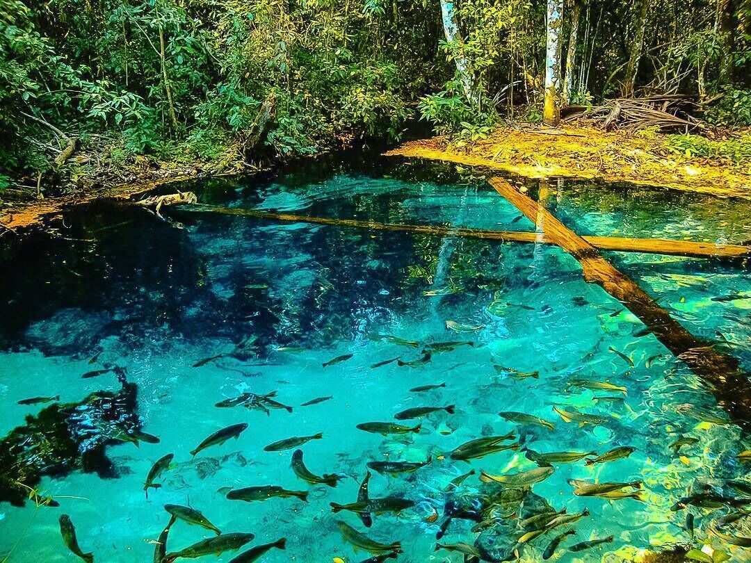 nobres mato grosso brasil