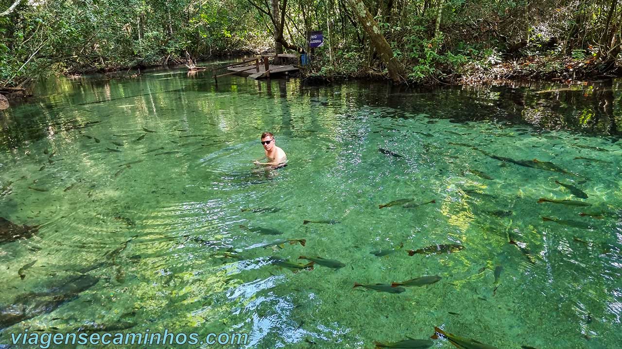 Como Chegar em Nobres MT: Dicas de Transporte e Logística