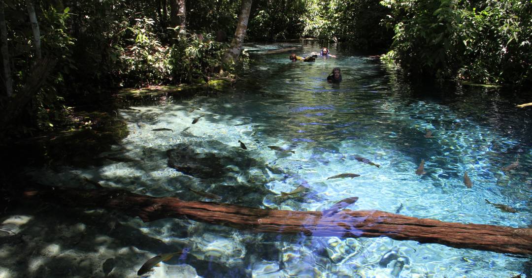 Melhor Época para Visitar Nobres e Aproveitar as Águas Cristalinas