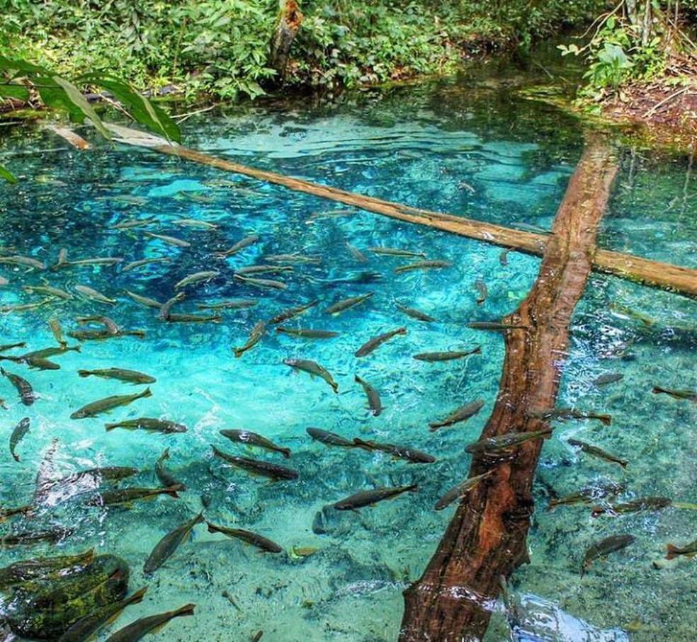 nobres mato grosso brasil