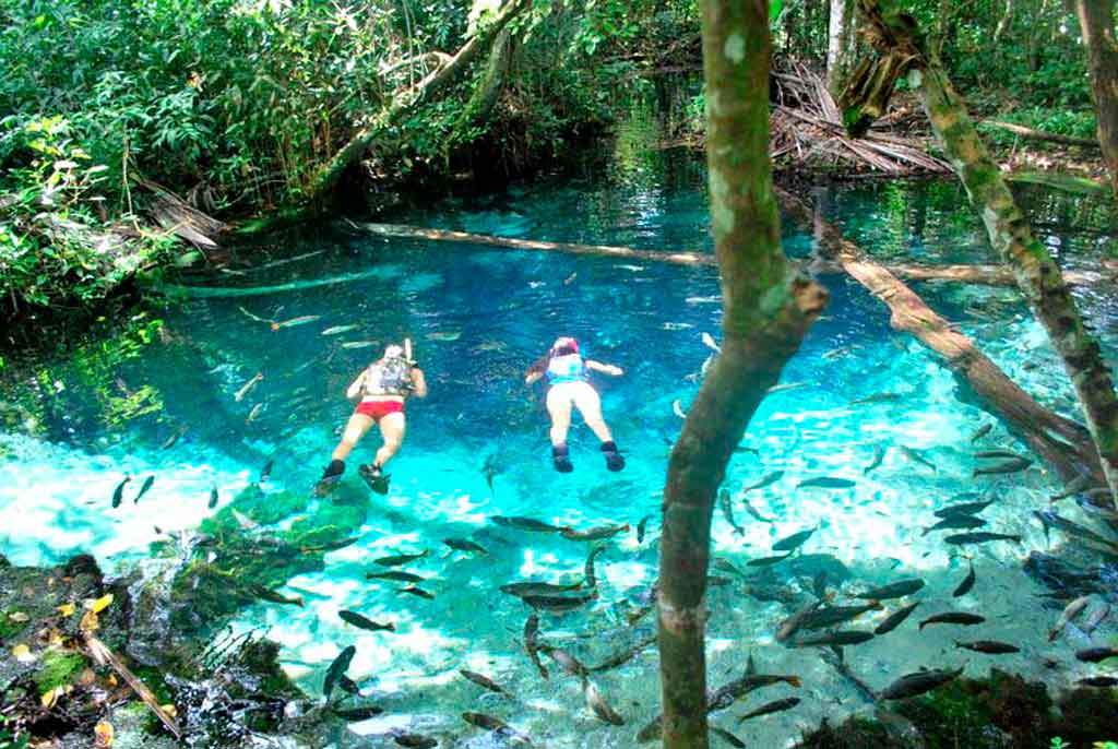 Como Chegar em Nobres MT: Dicas de Transporte e Logística