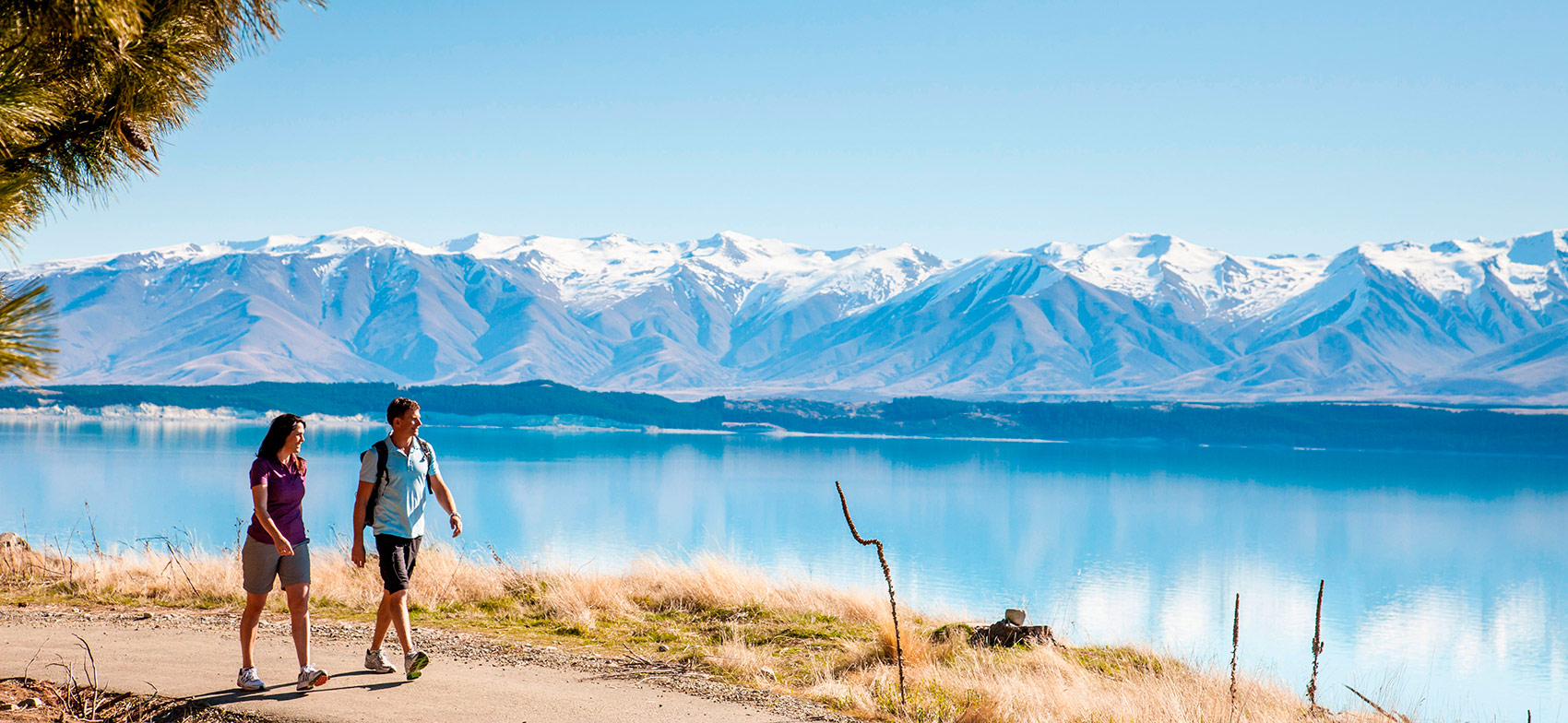 Melhor Época para Visitar a Nova Zelândia: Clima, Eventos e Multidões