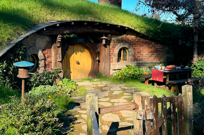 Guia Completo: Como Solicitar a NZeTA e a Taxa IVL para a Nova Zelândia