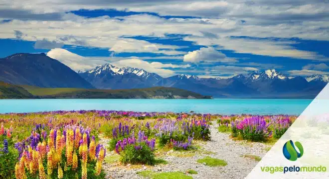 Aventura na Nova Zelândia: Os Melhores Esportes Radicais em Queenstown