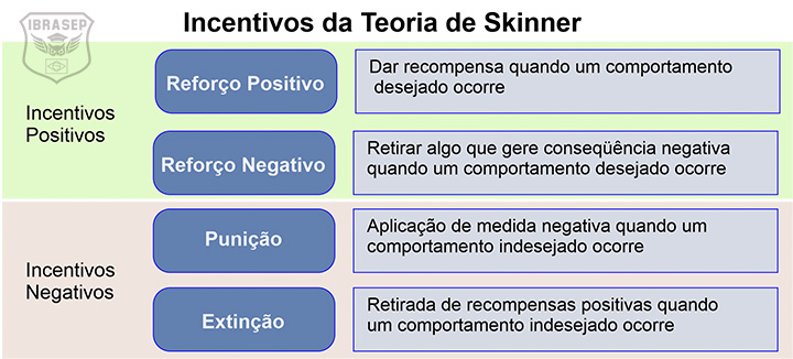 o que é a teoria de skinner