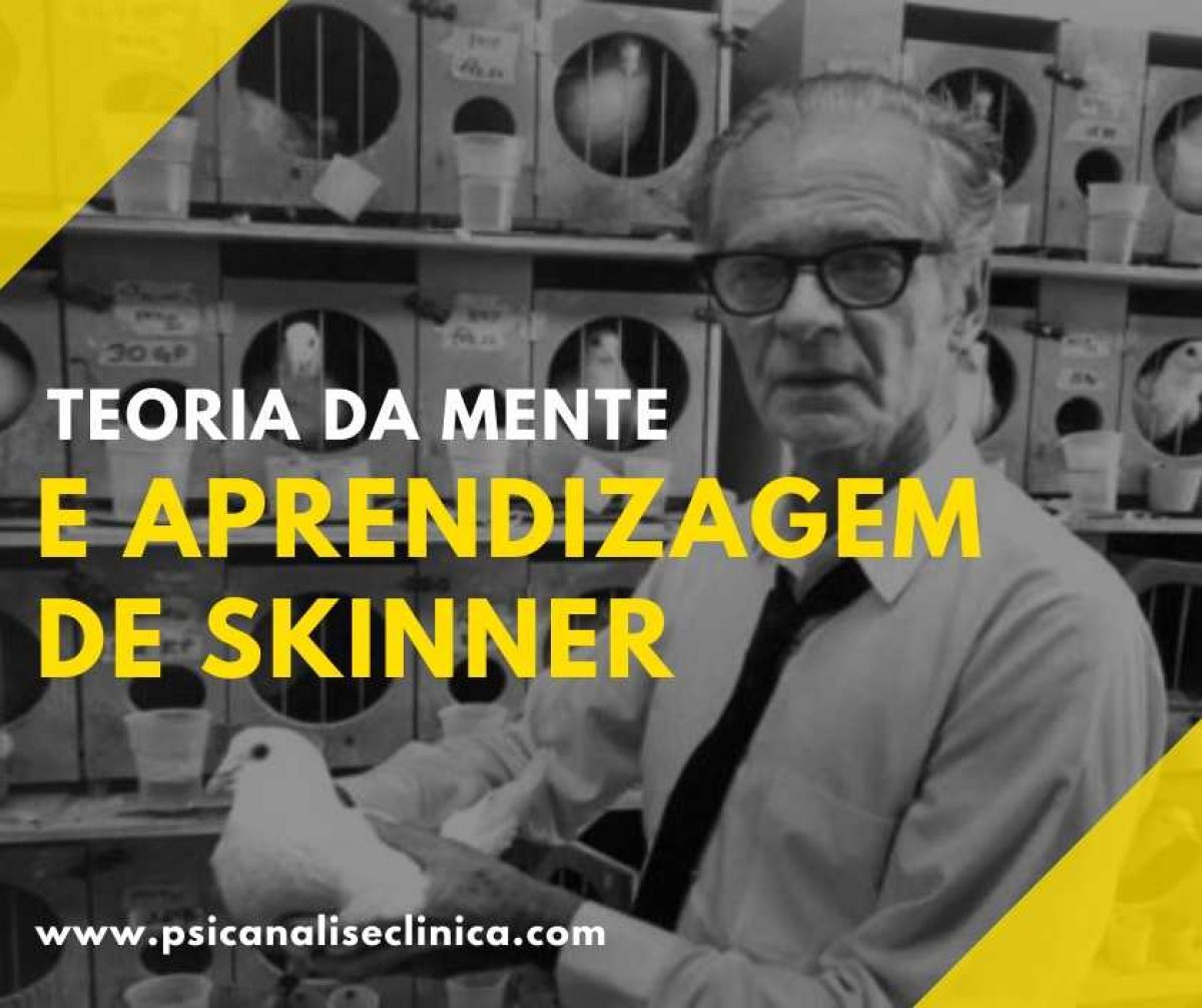 Reforço Positivo vs. Negativo: Desvendando os Mecanismos de Skinner