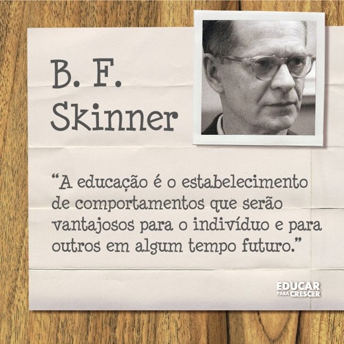o que é a teoria de skinner