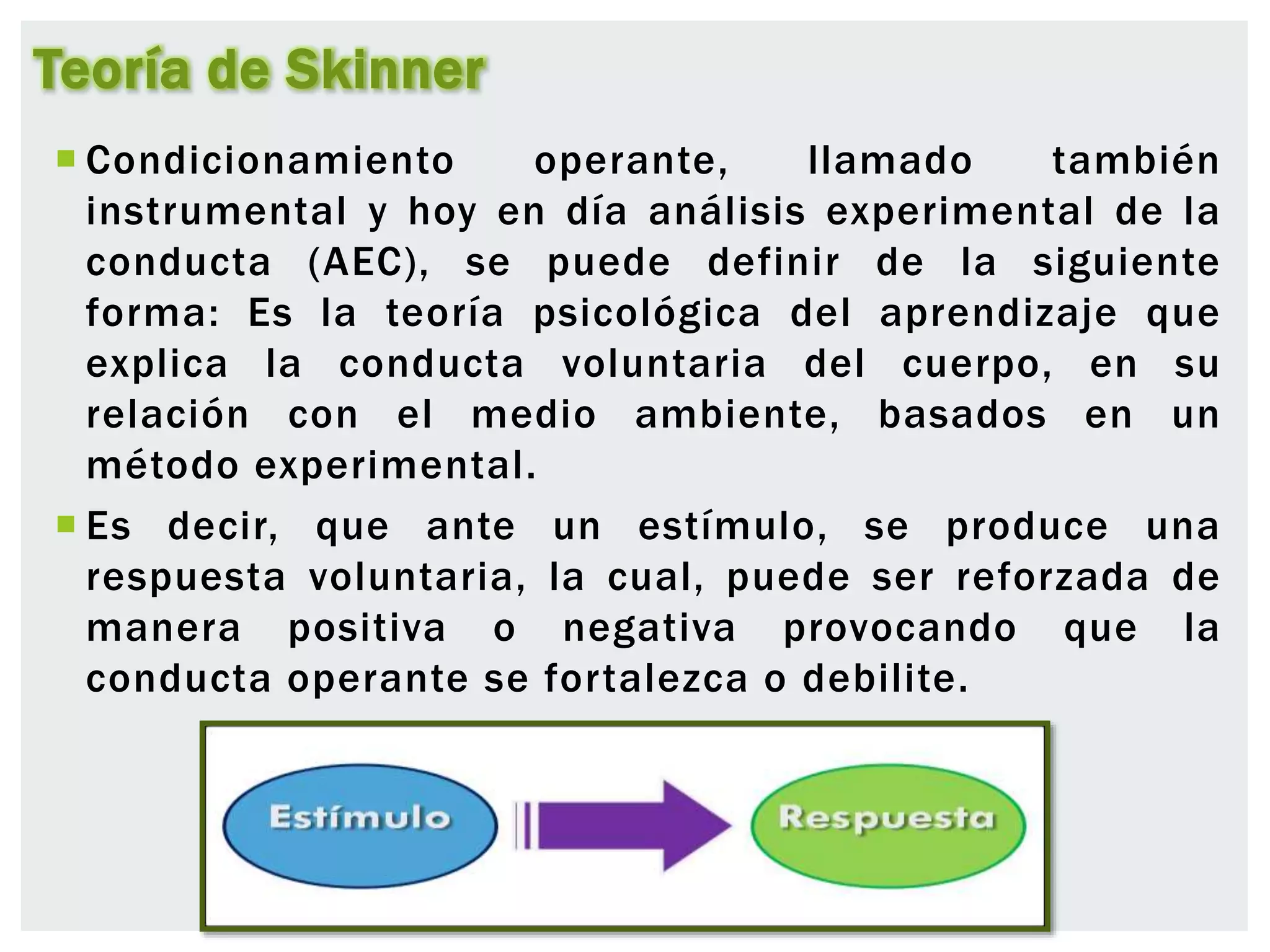 Reforço Positivo vs. Negativo: Desvendando os Mecanismos de Skinner