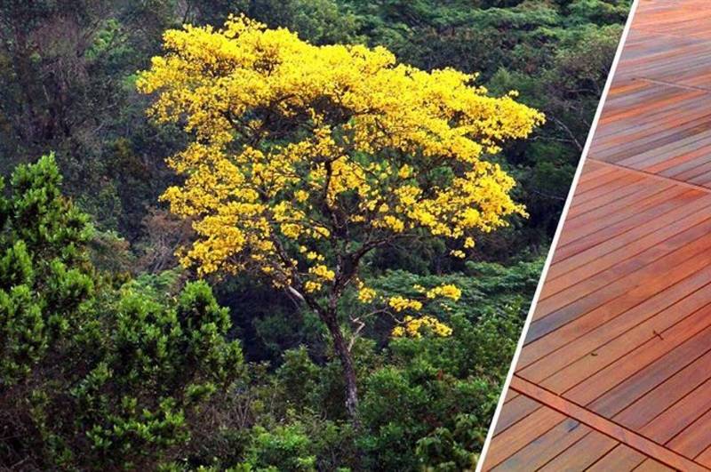 o que é o ipeadatac