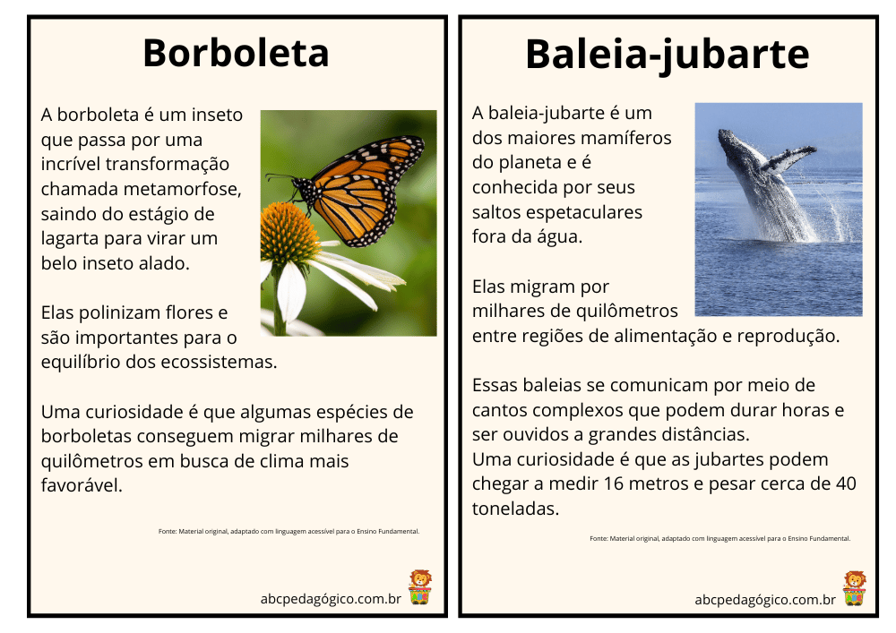 Verbete vs. Dicionário: Entenda as Diferenças Cruciais