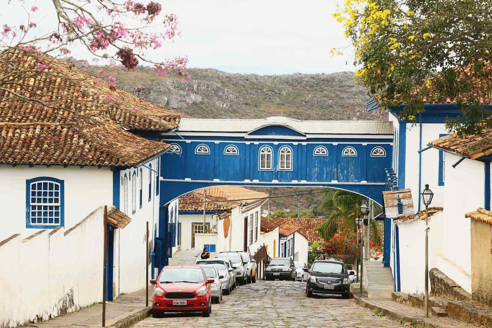 Ecoturismo no Pantanal: Melhor época para ver a onça-pintada