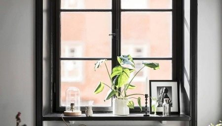 Guia Completo: Escolhendo as Melhores Plantas para seu Peitoril de Janela