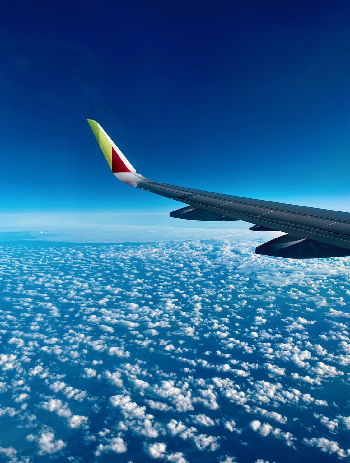 5 ideias de títulos:
1. Como Planejar sua Primeira Viagem Internacional sem Estresse
2. Destinos Internacionais Econômicos: Onde seu Dinheiro Rende Mais
3. Documentação Essencial para Viagens Internacionais: Guia Completo
4. Planejamento de Roteiro Internacional: Dicas para Otimizar seu Tempo
5. Viajar no Inverno ou Verão? Como Escolher a Melhor Época para sua Viagem