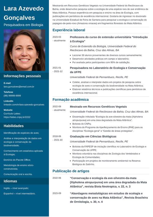 plataforma lattes como funciona