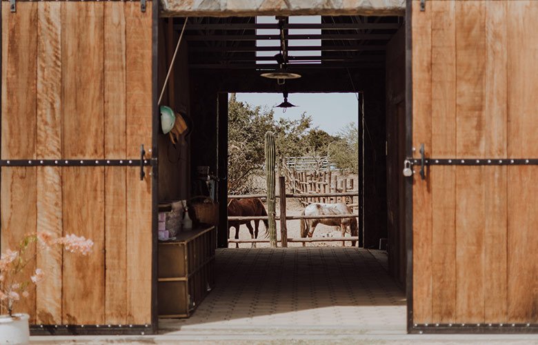 5 ideias de títulos:
1. Porta de Celeiro: O Guia Completo para Transformar seu Quarto
2. Como Escolher e Instalar a Porta de Celeiro Ideal para sua Casa
3. Materiais e Modelos de Portas de Celeiro: Encontre o Perfeito para Você
4. Vantagens da Porta de Celeiro: Economia de Espaço e Estilo
5. Soluções Criativas com Portas de Celeiro: Inspiração para sua Decoração