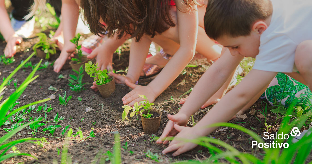 1. Roteiro de 7 dias em Portugal com crianças: O que não pode faltar!
2. Descubra os parques aquáticos mais divertidos do Algarve para a sua família.
3. Viagem de comboio em Portugal com crianças: Dicas e roteiros.
4. Planejando sua viagem para Portugal: Documentação e segurança para menores.
5. Portugal dos Pequenitos: Uma viagem no tempo para os pequenos exploradores.