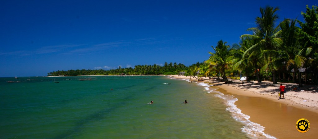 Caraíva: O charme rústico do vilarejo sem carros no sul da Bahia